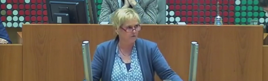 Monika Pieper im Plenum